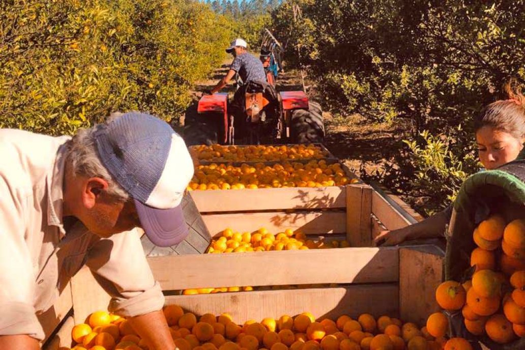 La firma produce desde hace 71 años, hoy la conduce la tercera generación.