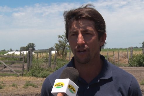 "El desafío es impulsar a las arroceras" dijo el flamante titular de la Asociación de Plantadores