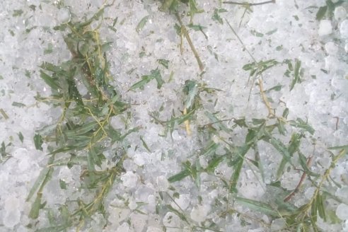 La lluvia llegó en buena cantidad, pero también trajo granizo