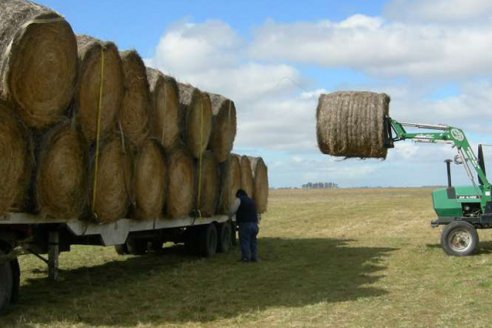 Alfalfa: Ejemplos para imitar