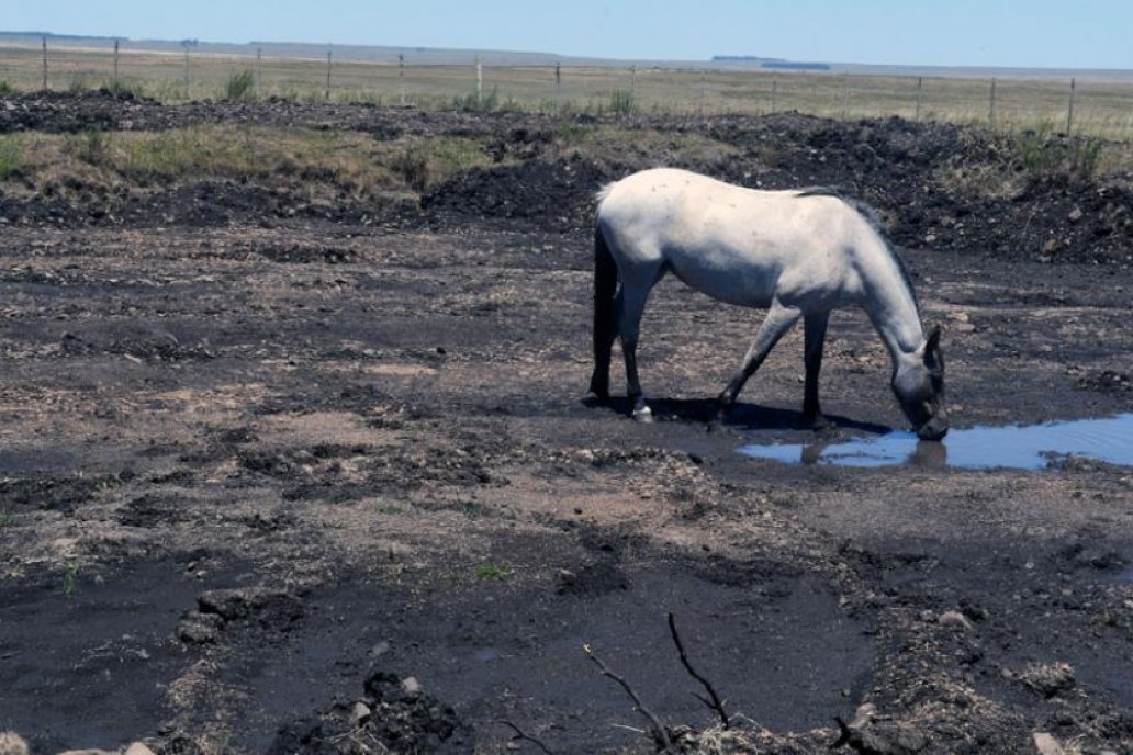 Ante la eventual crisis, el país vecino ya liberó paliativos operativos.