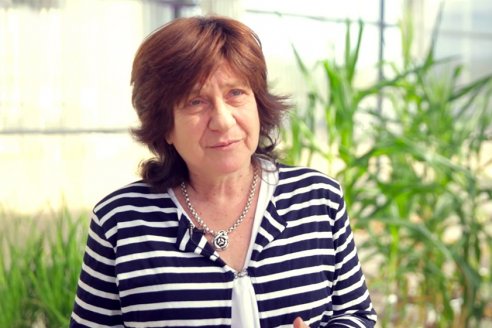 "Necesitamos más ciencia, educación y comunicar mejor"