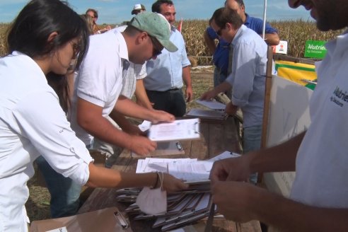 Ensayo Comparativo de Rendimientos en Híbridos de Maiz del Colegio de Ingenieros Agrónomos de Victoria (CIAV)