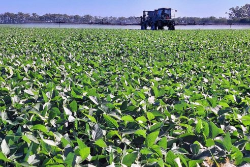 Un escudo protector anti plagas, para que tu cultivo obtenga el mejor rendimiento, cuidando el medio ambiente.