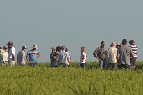 Dia a Campo de Arroz - Fundación PROARROZ - 11 de Febrero 2022