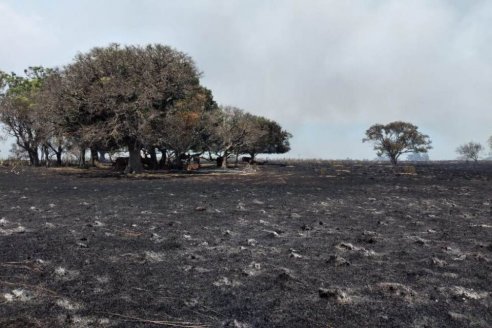 La prevención de incendios al rojo: mucho calor y pocas lluvias es el escenario climático hasta fin de año