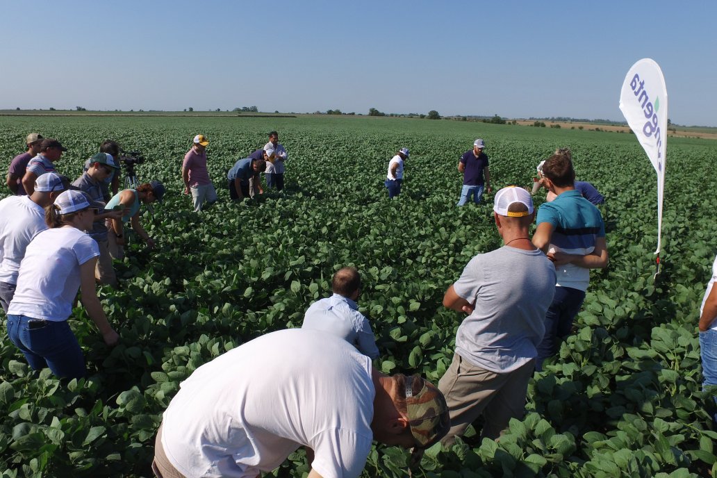 Productores y profesionales se sumaron a la propuesta de buscar flagelos en soja