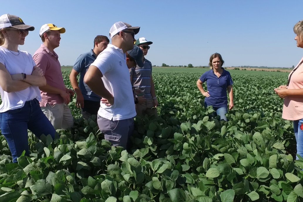 El clima y las enfermedades atentaron contra rindes de excelencia.