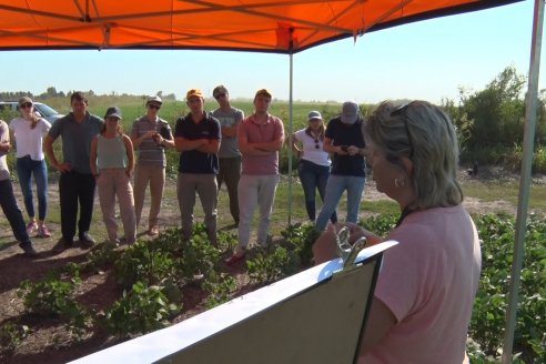 Recorrida a Campo: Manejo de enfermedades en soja y maíz en Aldea Maria Luisa - Raices del Este SRL y Syngenta