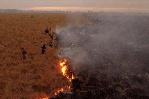 La lluvia calmó la furia del fuego en Corrientes pero el drama continúa