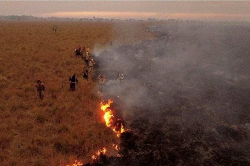 Las llamas se devoraron 33.000 hectáreas por día.