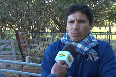 Modulo Ovino INTA Paraná - Proyecto Investigación:  Resistencia Natural de los Parasitos Intestinales en Ovinos