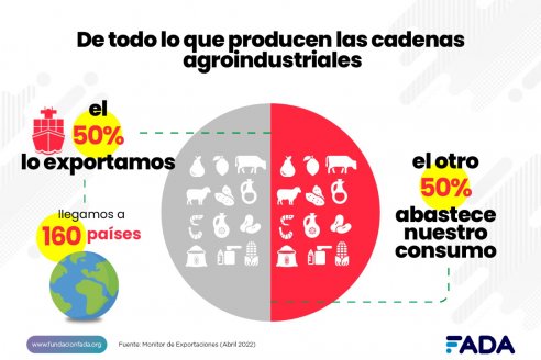 Las agroexportadoras argentinas generan 7 de cada 10 dólares que ingresan al país