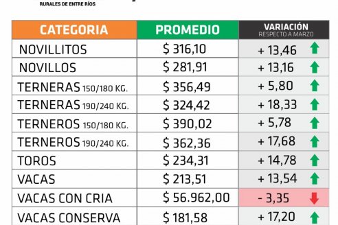 Subas del 20,5% para las vacas entrerrianas de invernada