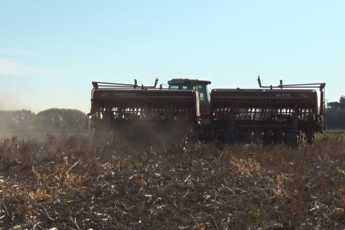 Mariano Podversich - Productor Agropecuario - Siembra de trigo en Cerrito