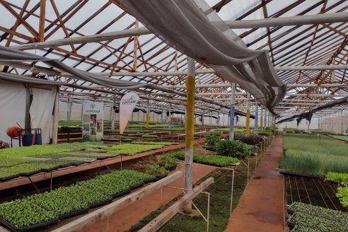 Desde los municipios dan impulso a los sistemas productivos ecológicos