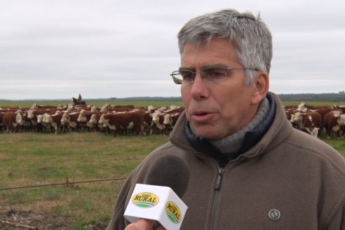 La Hereford quiere comercializar con mejor estrategia