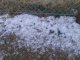 Estiman que la granizada dañó hasta 80.000 hectáreas en la zona núcleo