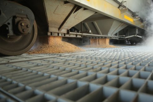 Descomunal ingreso a Entre Ríos de maíz modelo 2023 producido en otras provincias argentinas