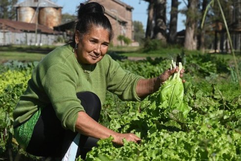 Mujeres del agro sólo acceden a un 18% de su propio patrimonio
