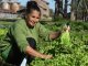 Productoras de Entre Ríos y Misiones compartirán sus experiencias de vida