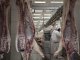 La producción porcina nacional crece, el consumo avanza sostenido y las exportaciones se aceleran