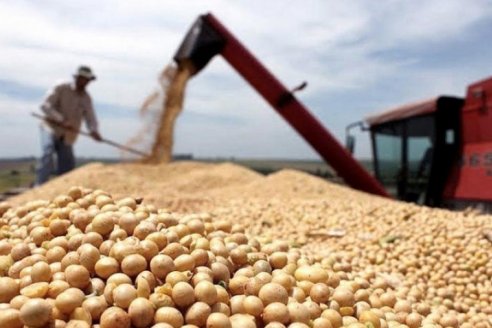 Las ventas de soja subsidiada ya superan las 210.000 toneladas