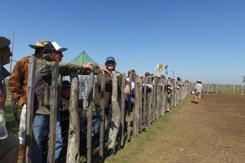 1° Jura Fenotípica de la 1° Prueba Pastoril Hereford Mesopotámica - EEA INTA C.del Uruguay - Entre Ríos