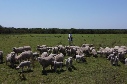 El criador de ovinos es un fiel exponente de la gente de campo