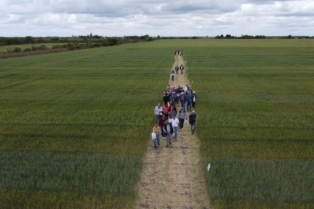 Productores de la zona se acercaron a lo de Nani a ver las novedades de ACA. Productores de la zona se acercaron a lo de Nani a ver las novedades de ACA.