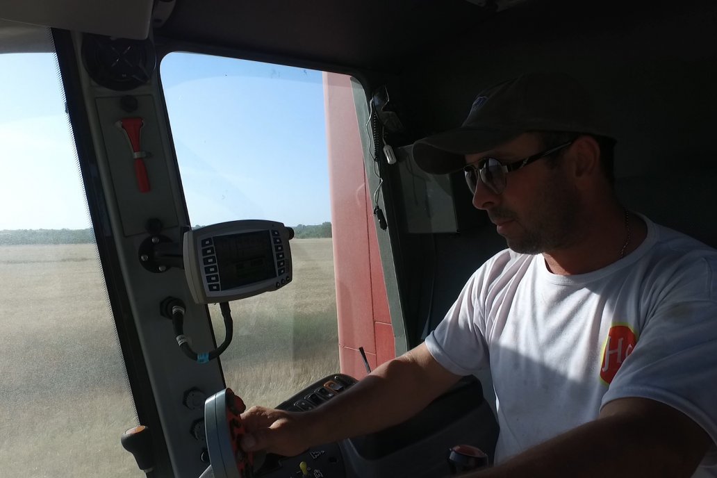 En Viale, Cerini cosecha trigo mínimo 30 quintales y lo hace a buen ritmo