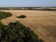 Mayo: ¿Cambiará el patrón climático en la región?