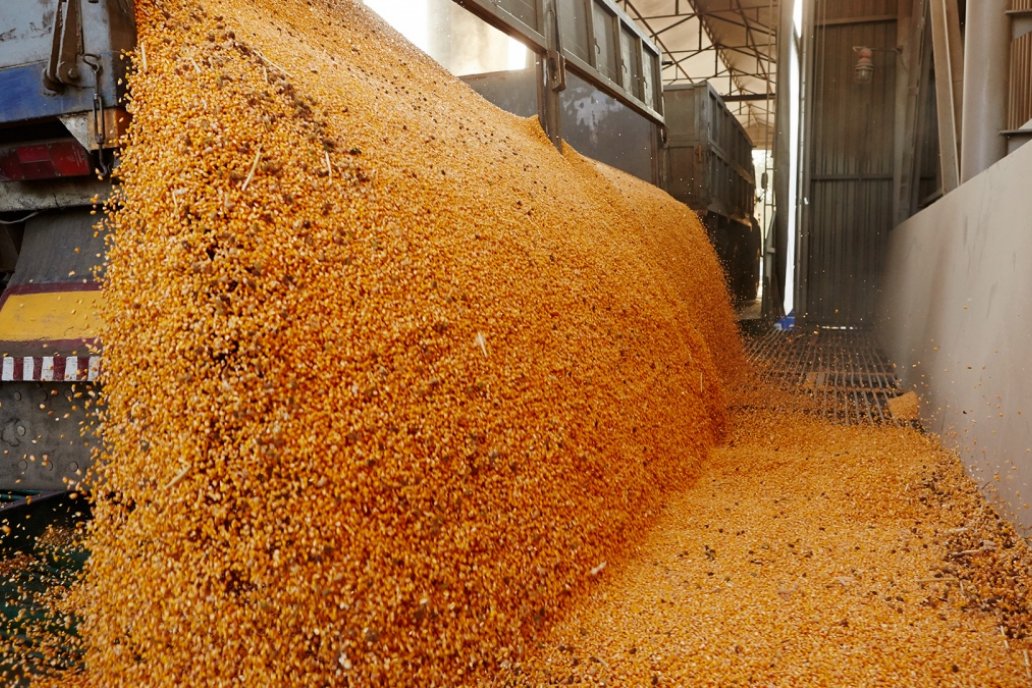 La harina exportada se hizo con granos de soja producidos en Chaco.