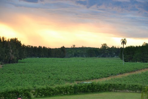 Lluvias: este viernes puede ser un gran día para Entre Ríos