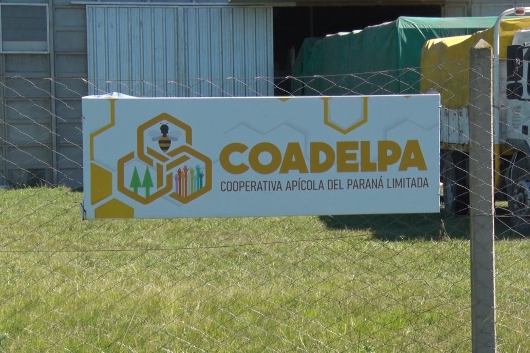 Visita a la Coop. Apícola del Paraná Ltda - Diálogo con Jorge Pitter