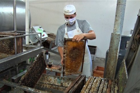 Por la falta de agua, la producción de miel cayó un 15%, arrastrando tanto al consumo interno y como al externo