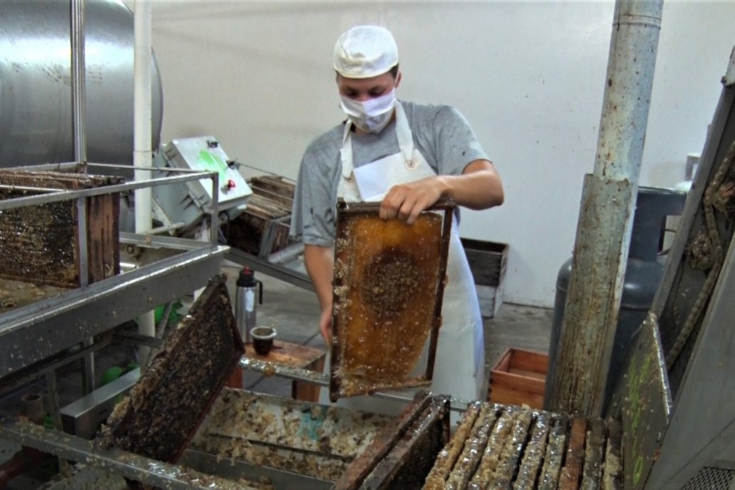 La provincia es la segunda productora de miel en el ámbito nacional.