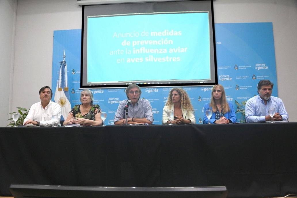 Bahillo subrayó que el flagelo no se transmite por comer carne de pollo o huevo. Bahillo subrayó que el flagelo no se transmite por comer carne de pollo o huevo.