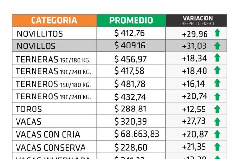 Valores muy bien entonados para la hacienda en pie entrerriana, con subas de más del 31% en febrero