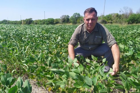 Ángel Novo: "En este escenario de sequía los cultivos ofrecen rindes limitados que hay que cuidar"