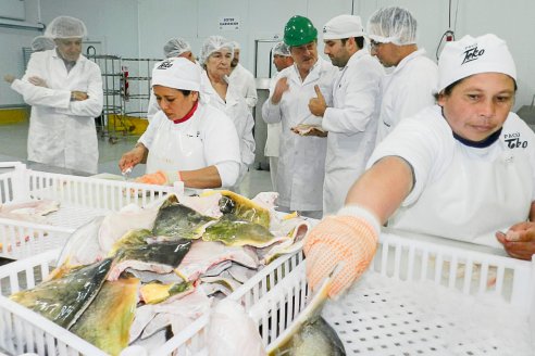 Habilitaron la exportación de carne de pacú a Estados Unidos