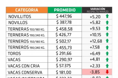 Sensible recuperación de valores para la hacienda en pie de Entre Ríos, con un pico de casi el 19%