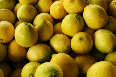Europa vuelve a comprar citrus orgánico argentino