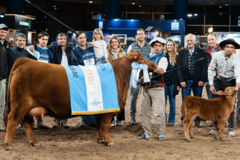 Cabaña Santa Lucía, de Ganadera Villaguay, logró un gran premio