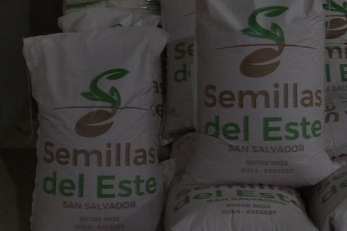 Visita a Semillas del Este - San Salvador, Entre Ríos