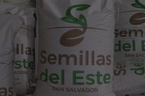 Visita a Semillas del Este - San Salvador, Entre Ríos