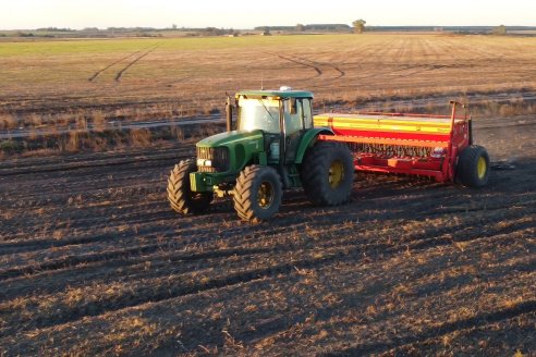 El trigo marcha bien sólo en campos del sur entrerriano