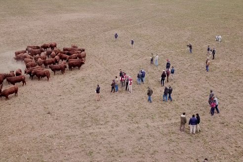 Dia de Campo Cabaña Bajo Fértil con genética L´Arachide - 3° Remate Anual Angus de Los Colorados del Centro