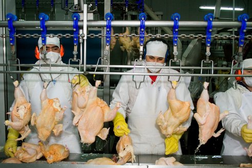 Vietnam reabrió su mercado a los pollos argentinos y sus derivados