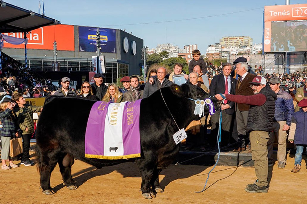 El Reservado Gran Campeón Angus se llevó la mayoría de las fotos. El Reservado Gran Campeón Angus se llevó la mayoría de las fotos.
